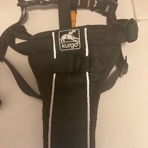Kurgo dog seat belt